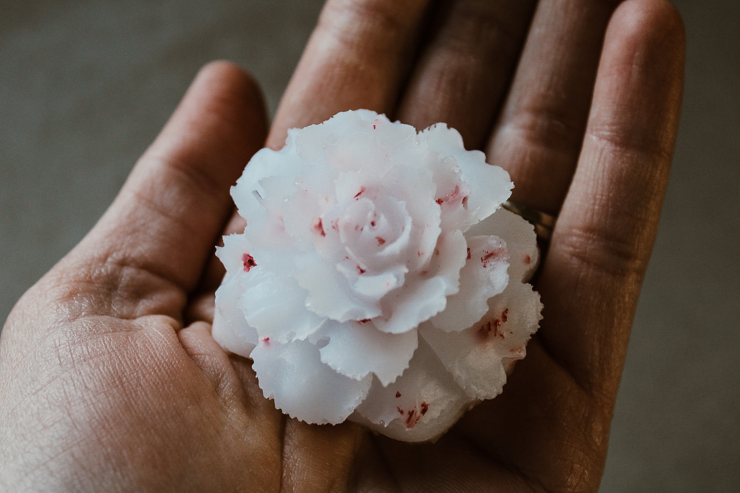 Carnation Flower Keepsake